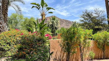 Desert garden below a mountain near Camelback