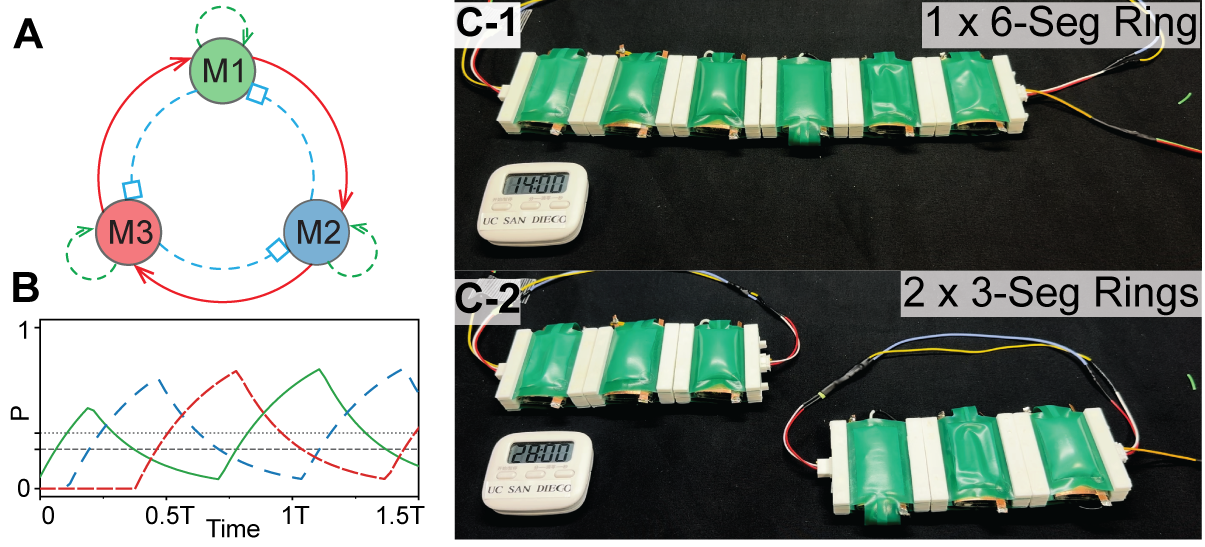 Pneu-ron pneumatic neuron network with rhythmic oscillation diagrams and modular soft actuator prototypes